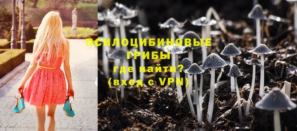 ешки Каменка