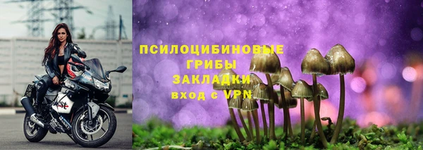ешки Каменка
